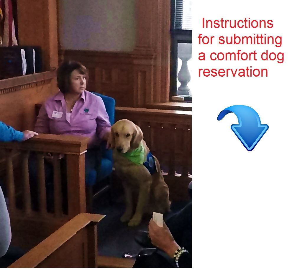 Ezra the Comfort Dog